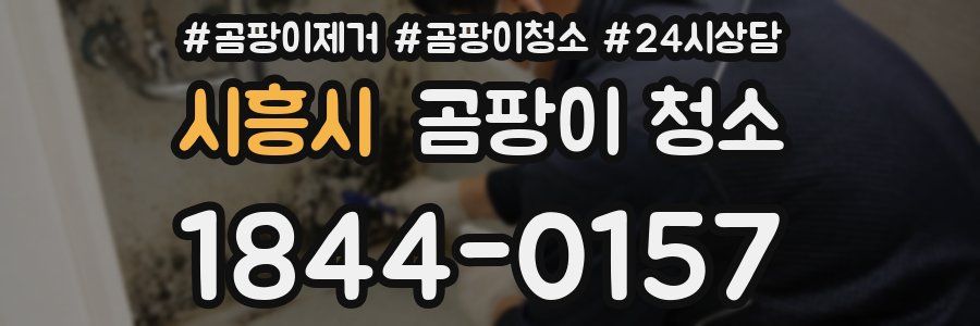 시흥시 곰팡이 청소