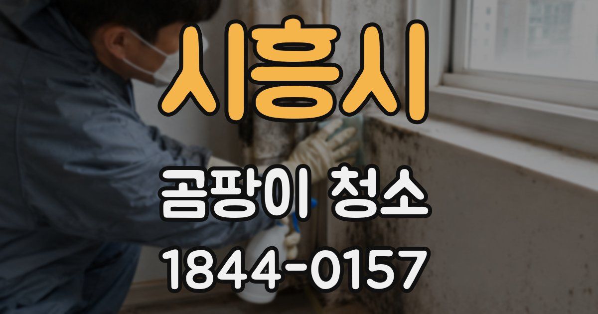 시흥시 곰팡이 청소