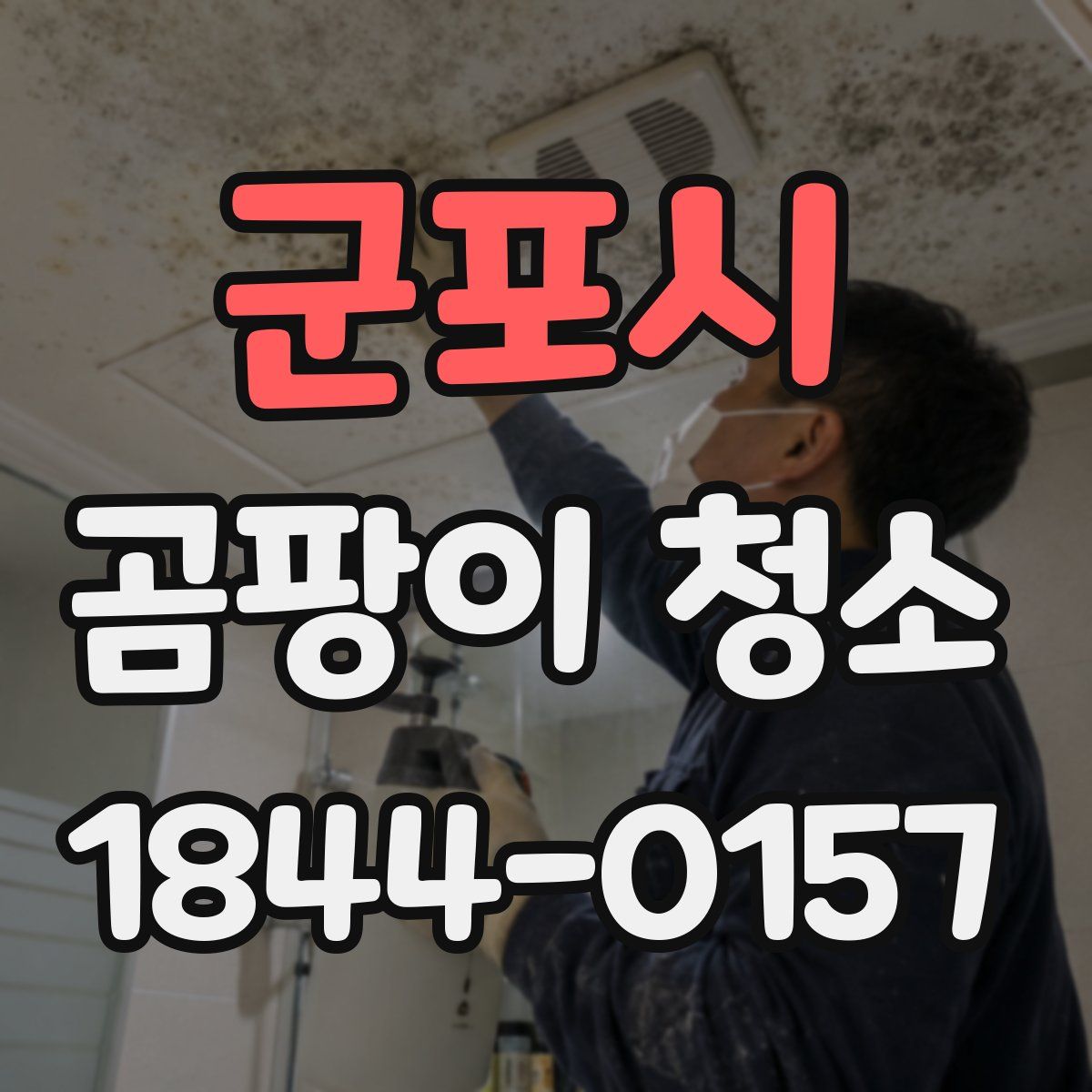 군포시 곰팡이 청소