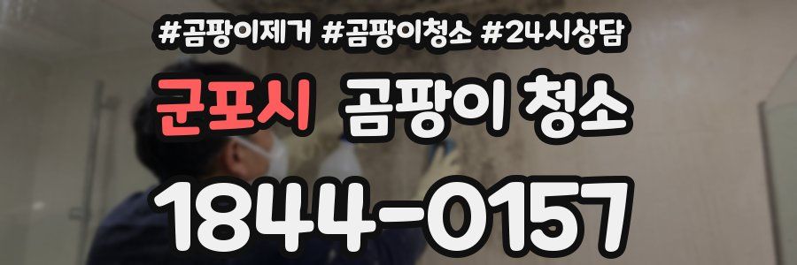 군포시 곰팡이 청소