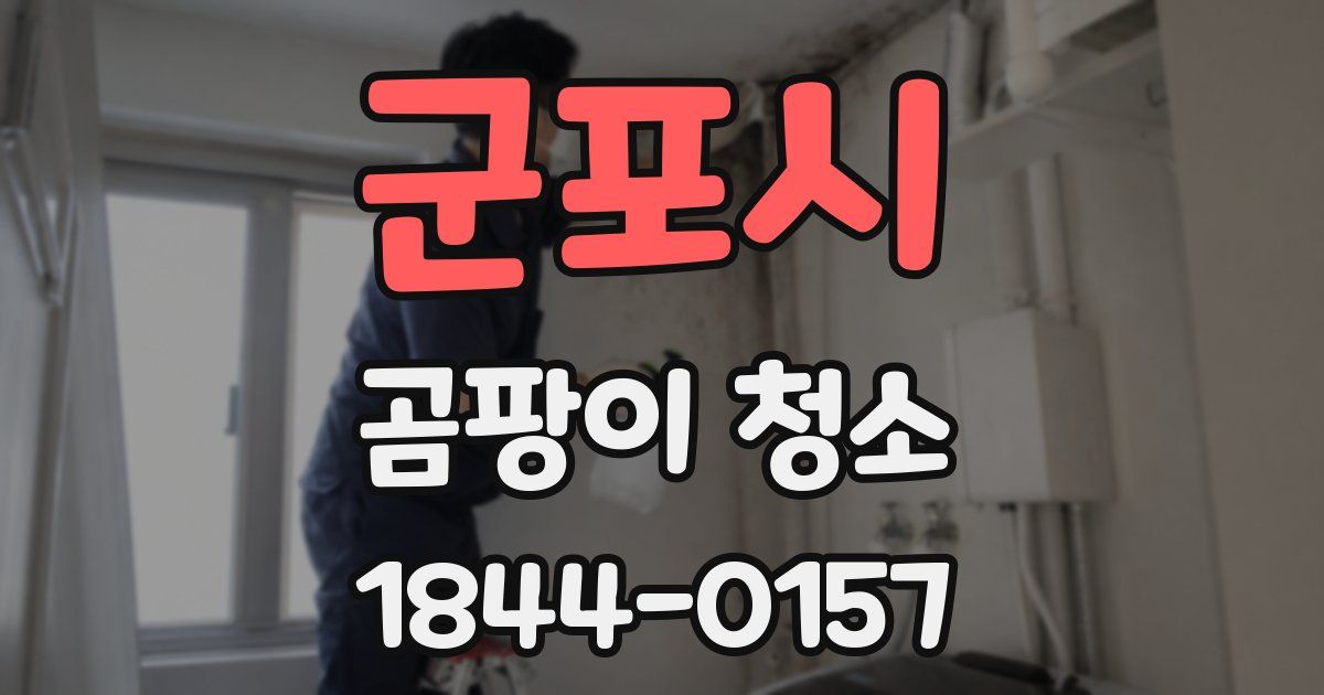군포시 곰팡이 청소