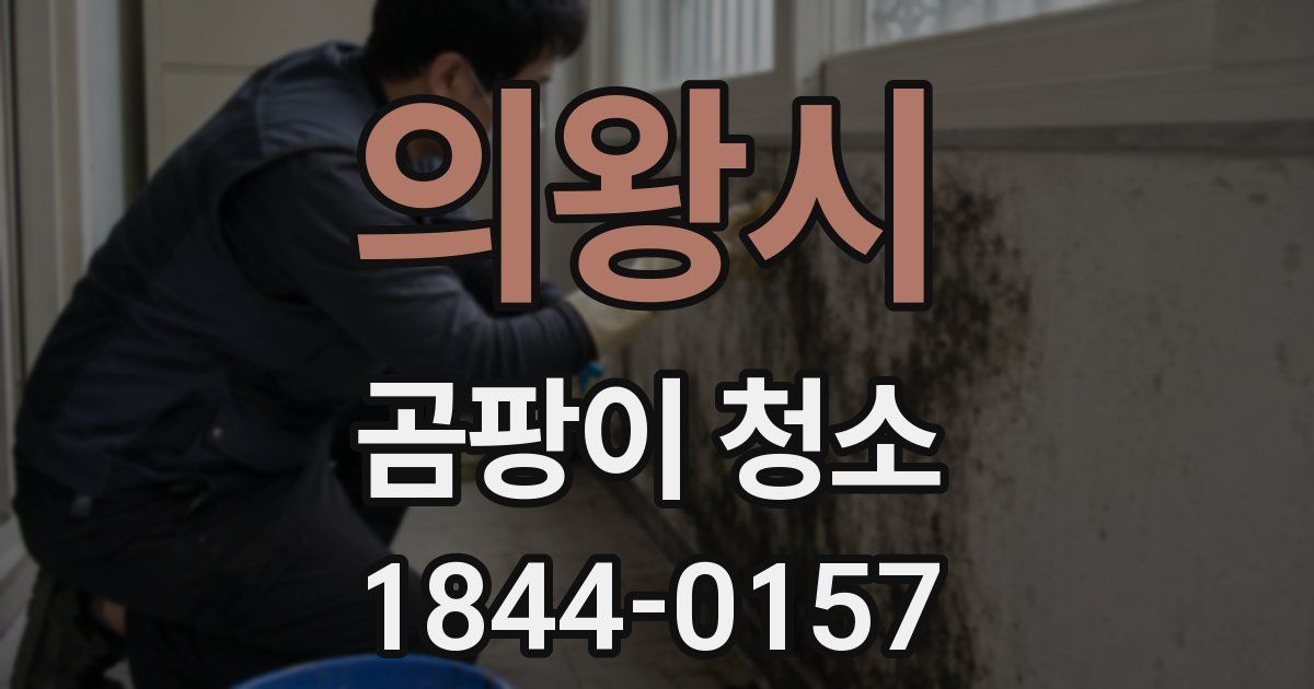 의왕시 곰팡이 청소