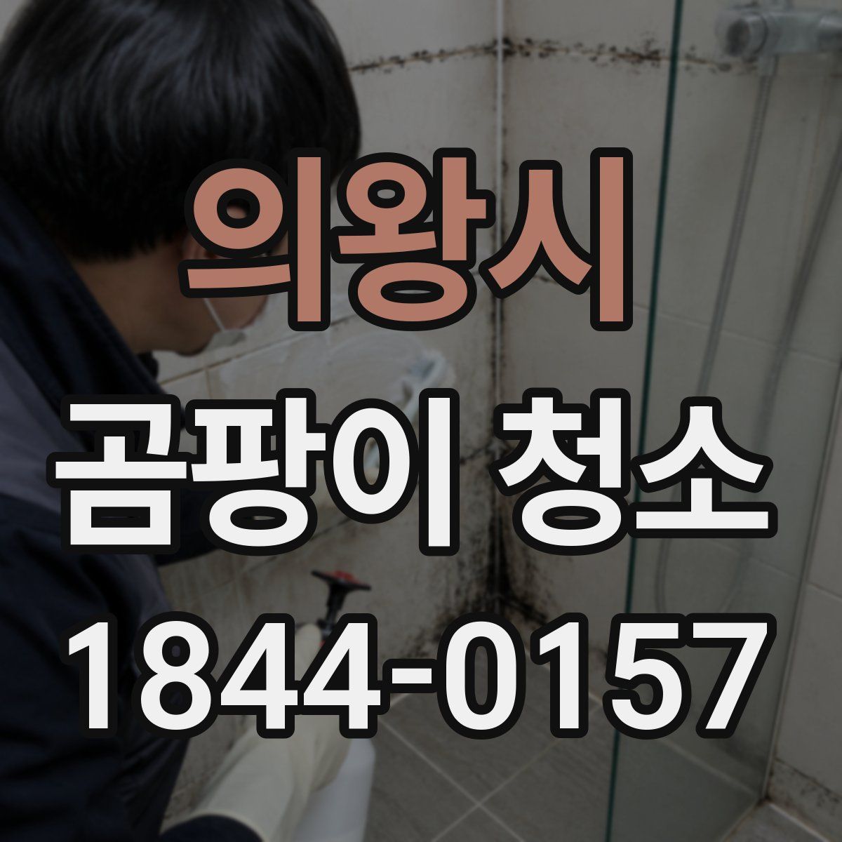 의왕시 곰팡이 청소