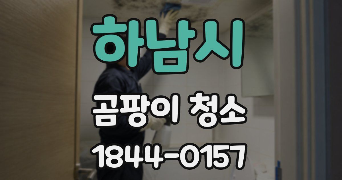 하남시 곰팡이 청소