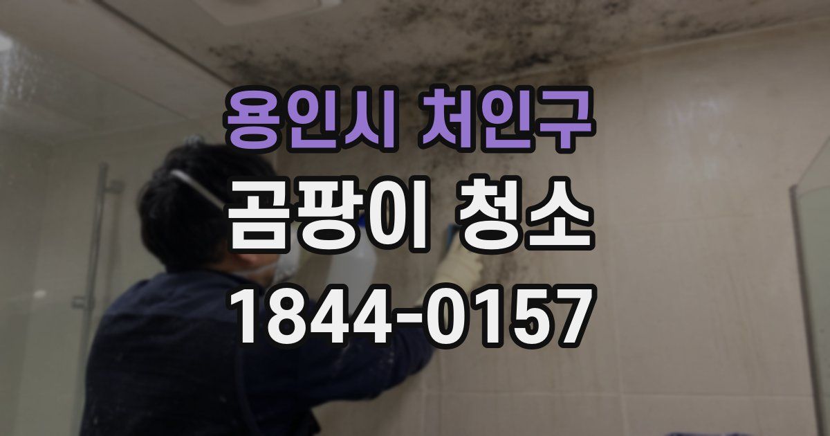 용인시 처인구 곰팡이 청소