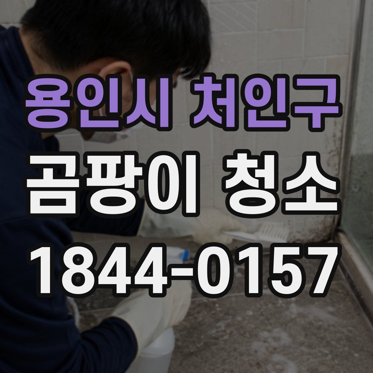 용인시 처인구 곰팡이 청소