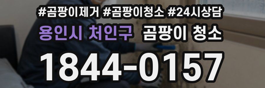 용인시 처인구 곰팡이 청소