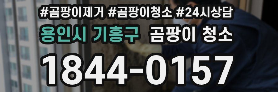 용인시 기흥구 곰팡이 청소