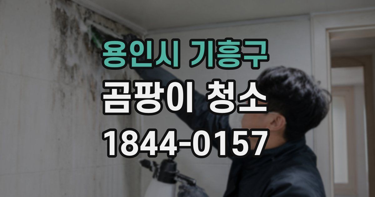 용인시 기흥구 곰팡이 청소