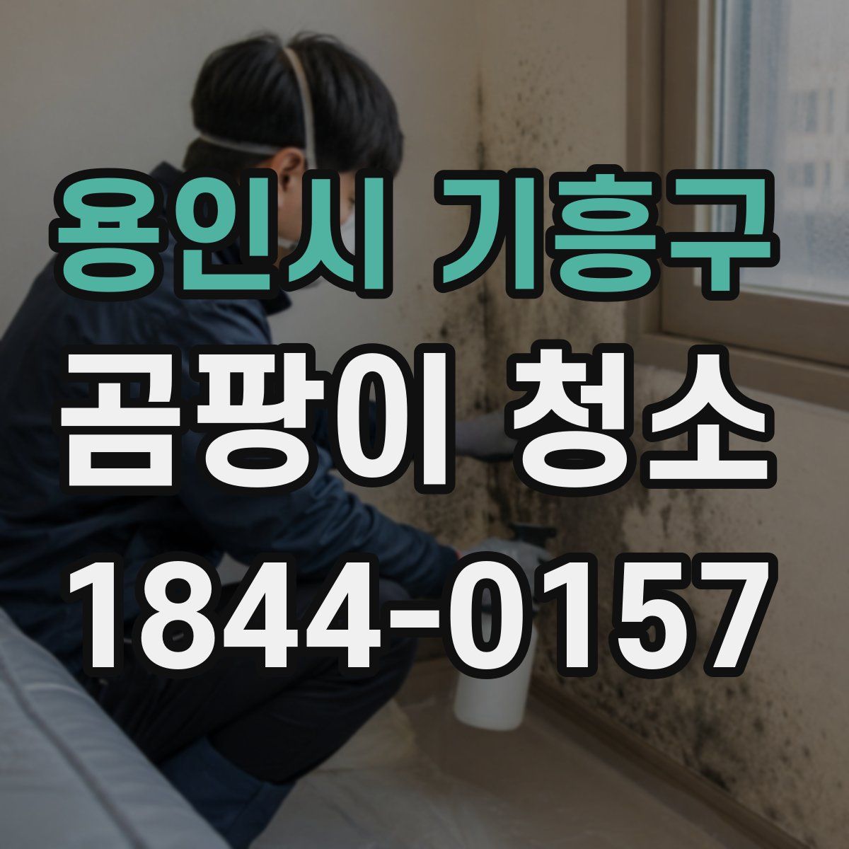 용인시 기흥구 곰팡이 청소