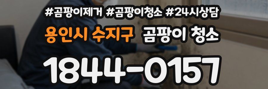 용인시 수지구 곰팡이 청소