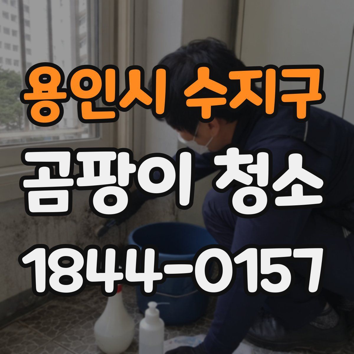 용인시 수지구 곰팡이 청소