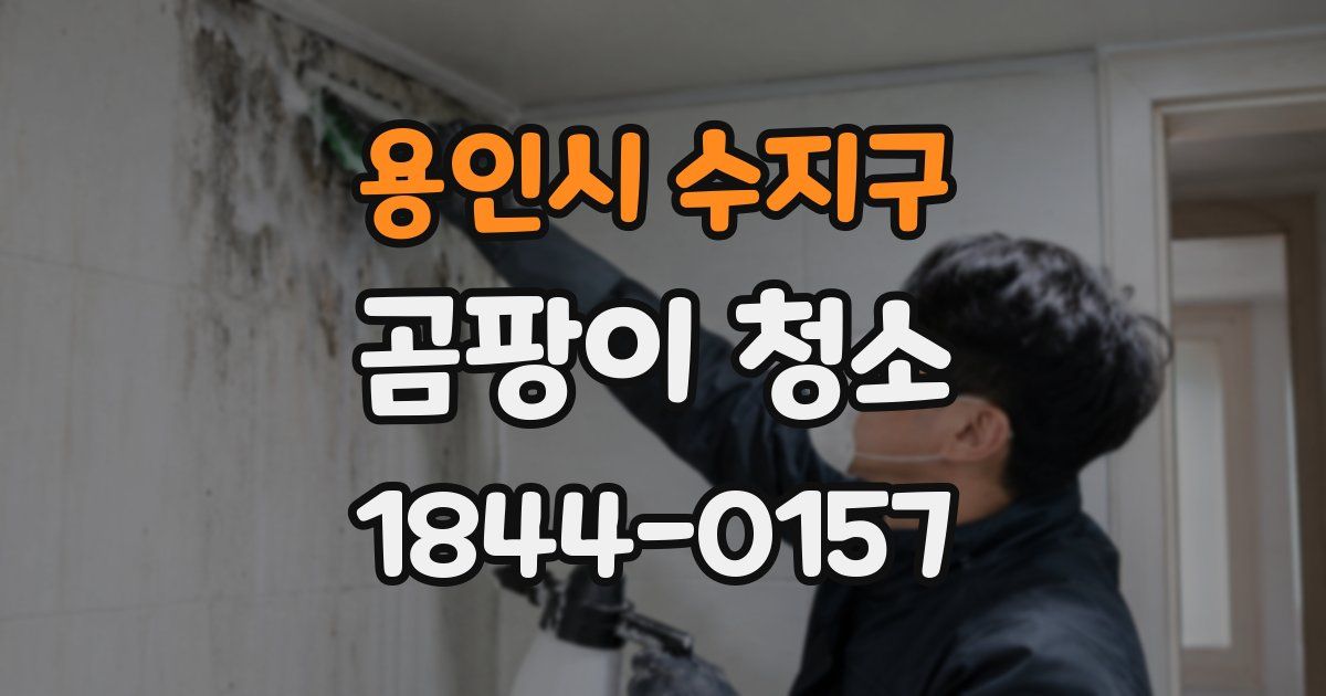 용인시 수지구 곰팡이 청소