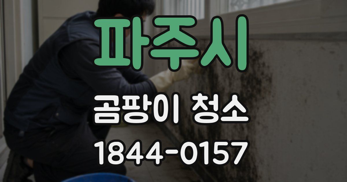 파주시 곰팡이 청소