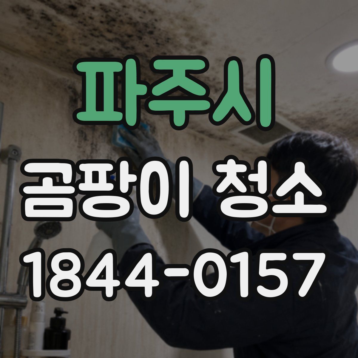 파주시 곰팡이 청소