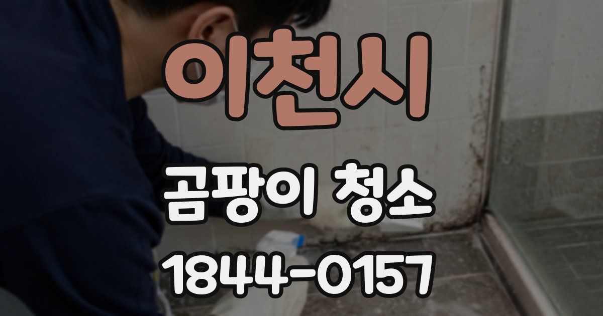 이천시 곰팡이 청소