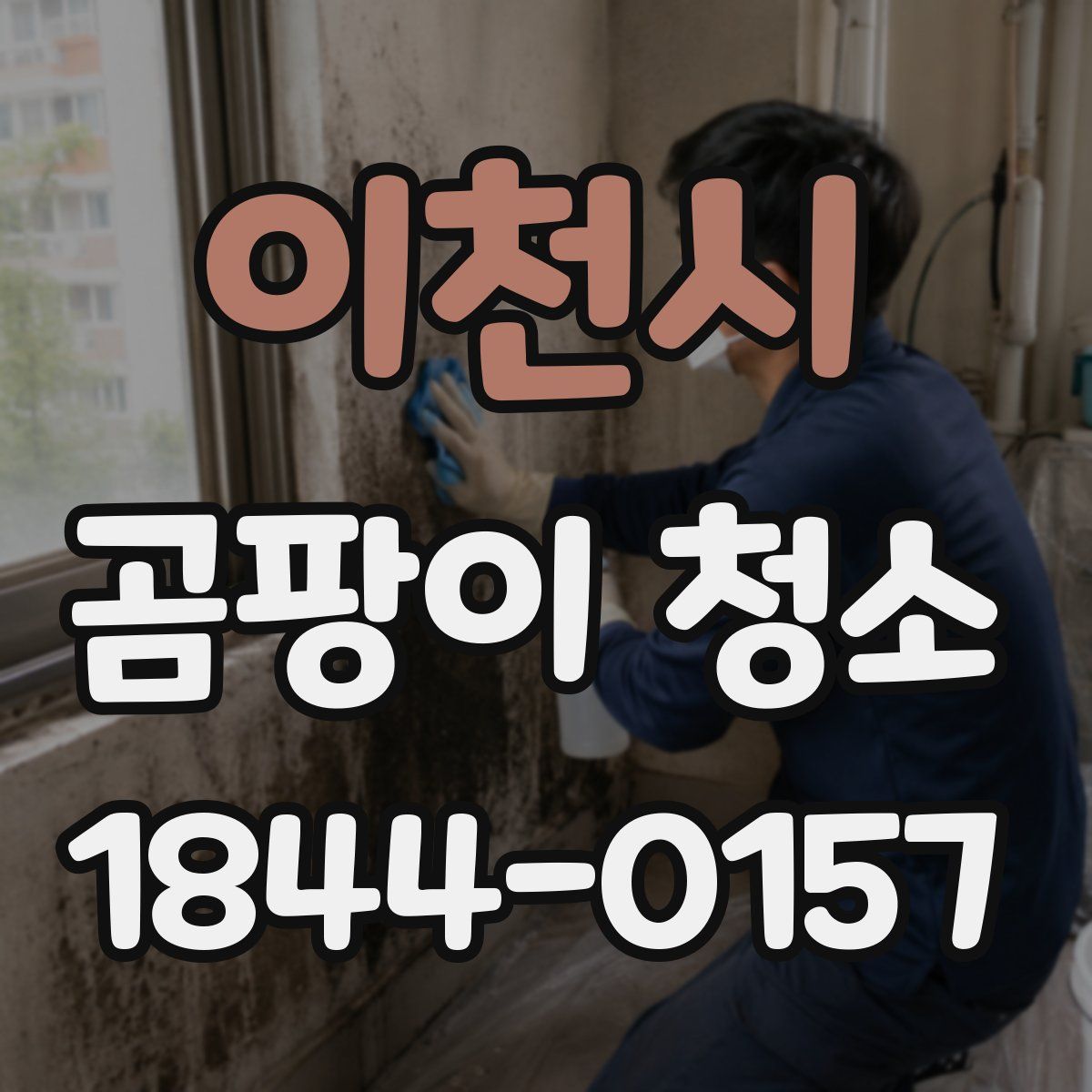 이천시 곰팡이 청소