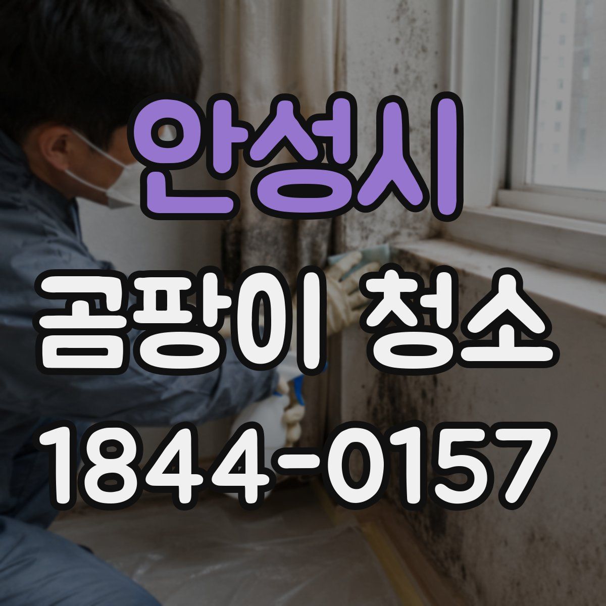 안성시 곰팡이 청소