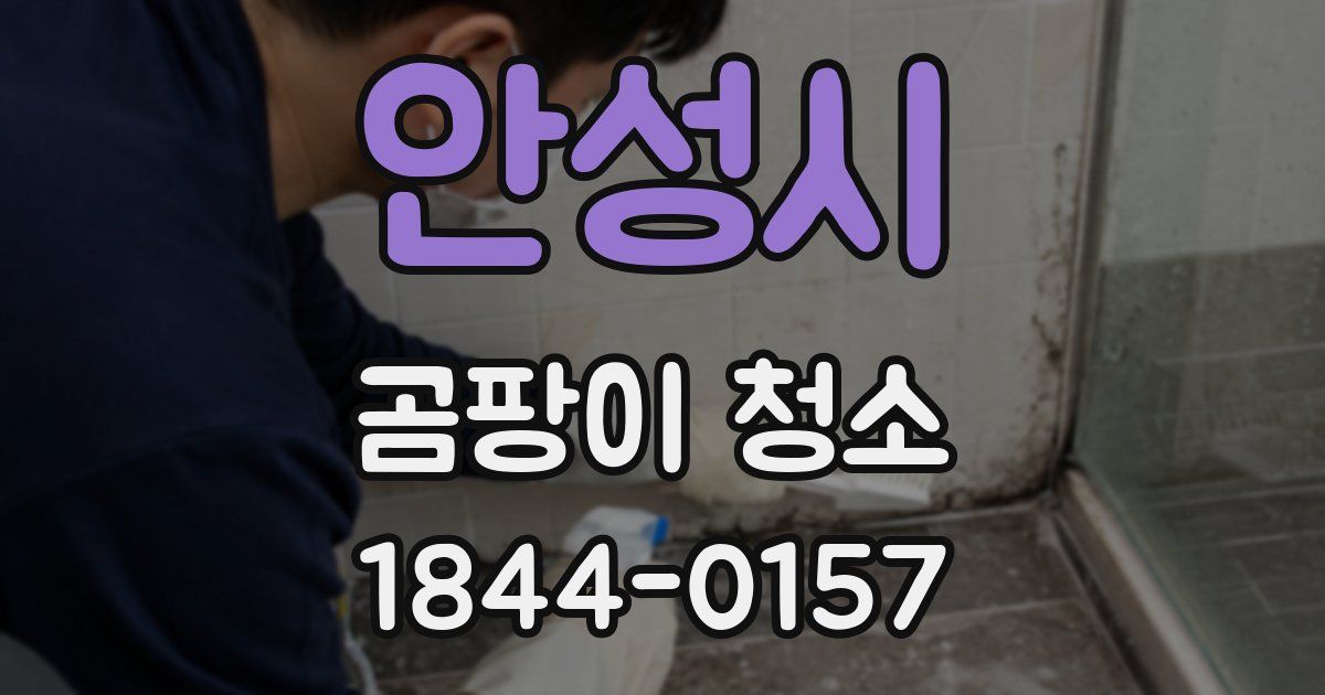 안성시 곰팡이 청소