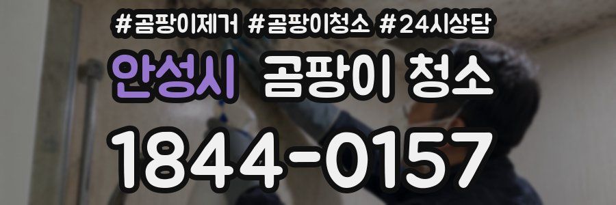 안성시 곰팡이 청소