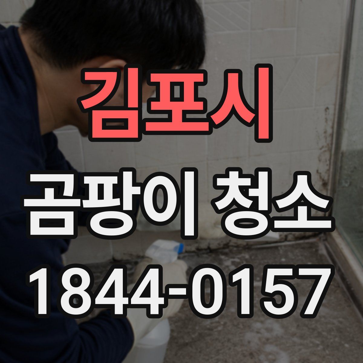 김포시 곰팡이 청소