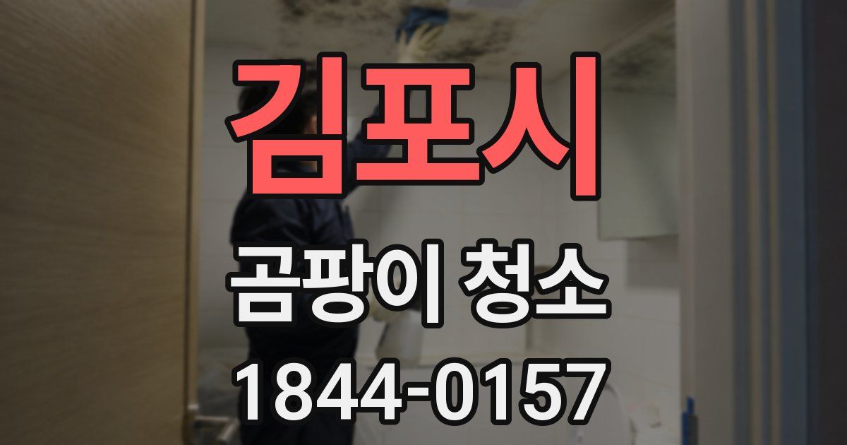 김포시 곰팡이 청소