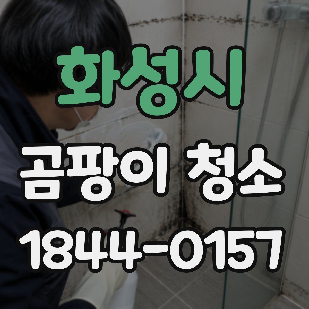 화성시 곰팡이 청소
