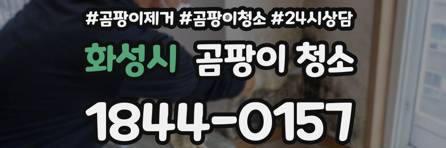 화성시 곰팡이 청소