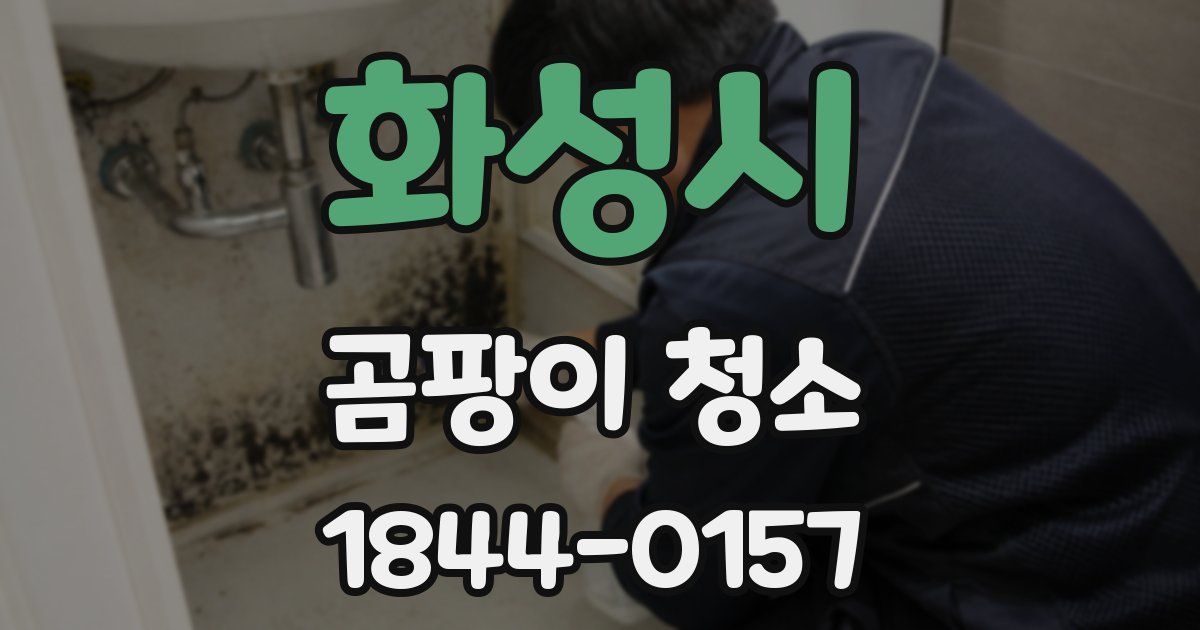 화성시 곰팡이 청소