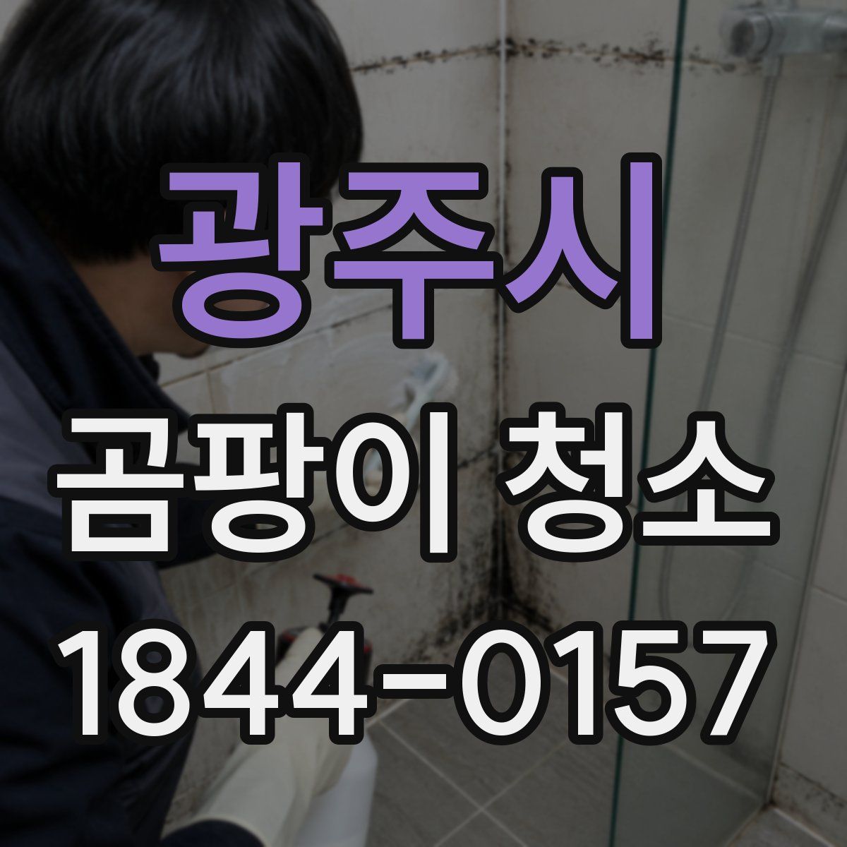 광주시 곰팡이 청소