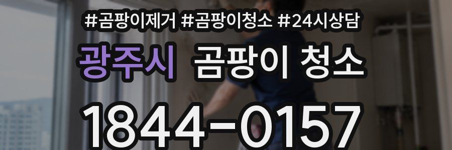 광주시 곰팡이 청소