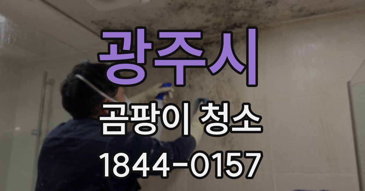 광주시 곰팡이 청소