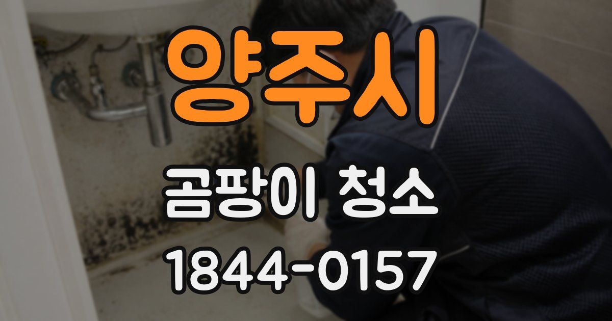 양주시 곰팡이 청소