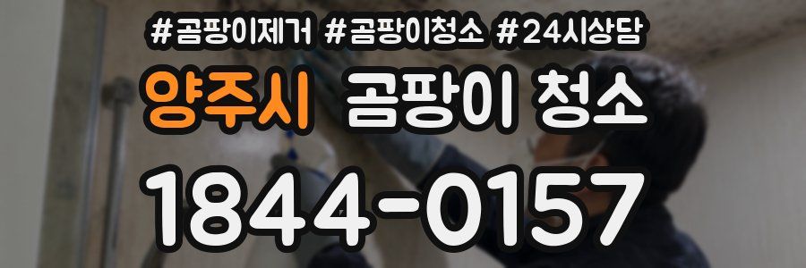 양주시 곰팡이 청소