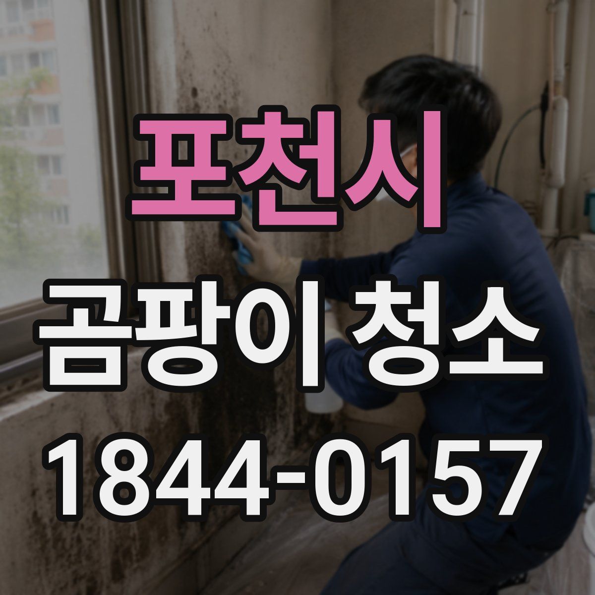 포천시 곰팡이 청소