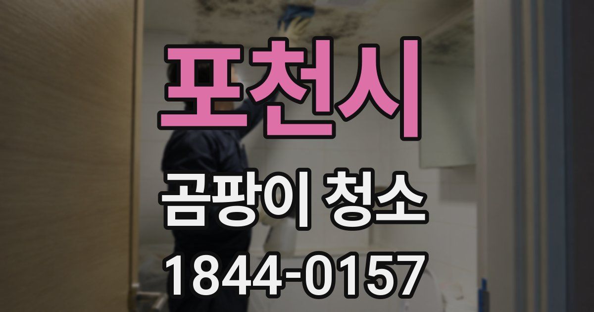포천시 곰팡이 청소