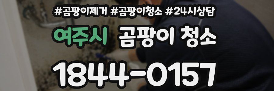 여주시 곰팡이 청소