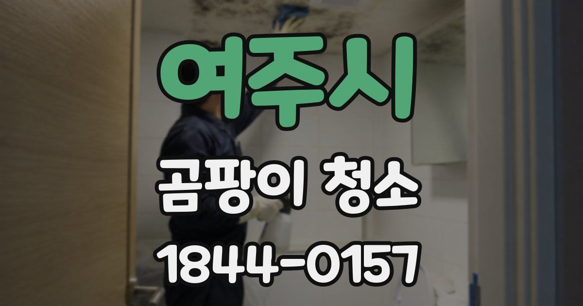 여주시 곰팡이 청소