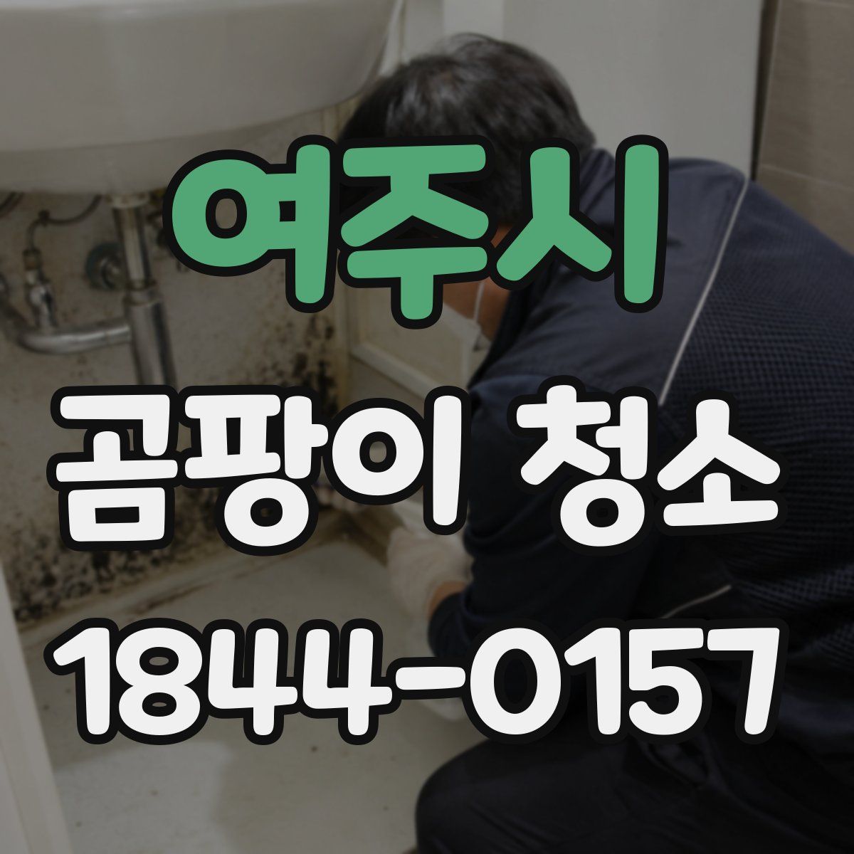 여주시 곰팡이 청소