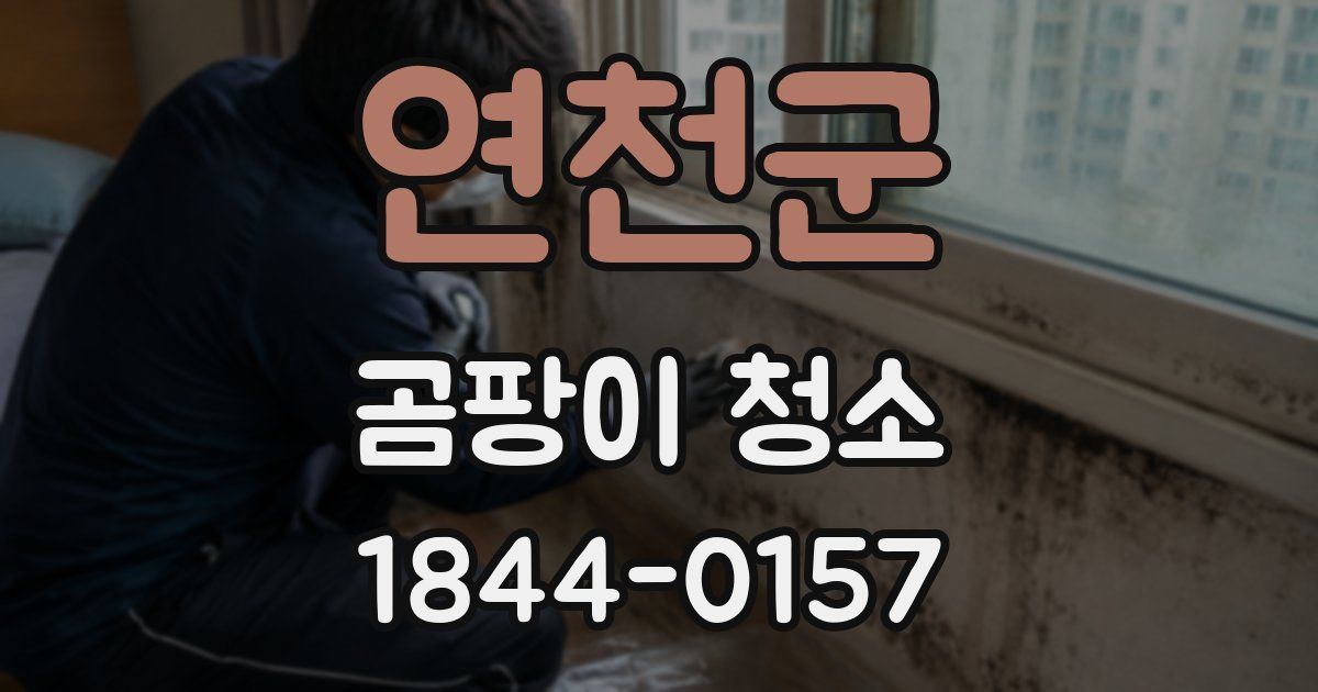 연천군 곰팡이 청소