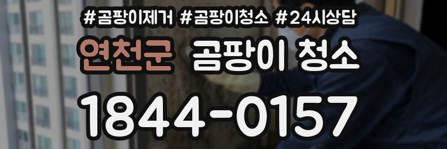 연천군 곰팡이 청소