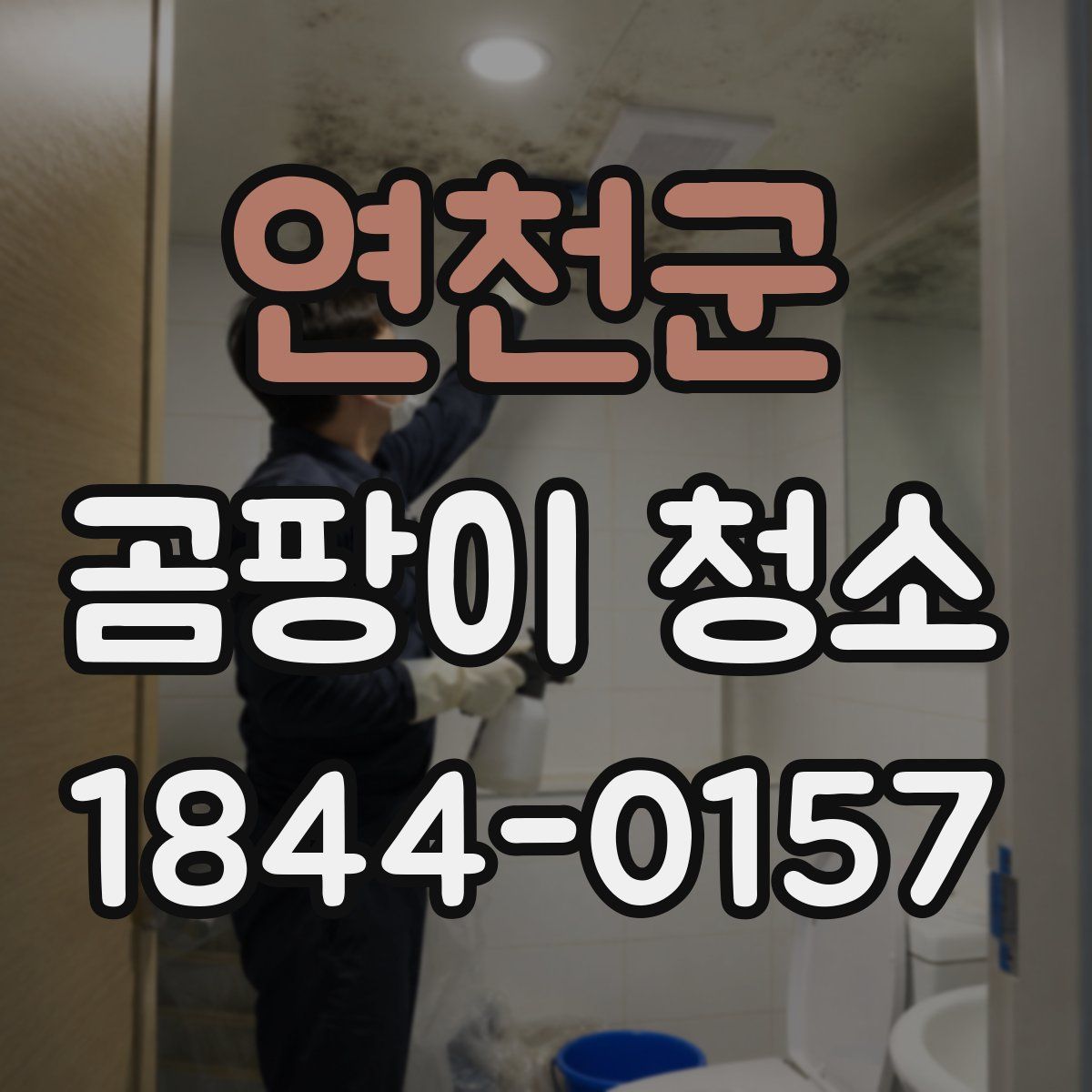 연천군 곰팡이 청소
