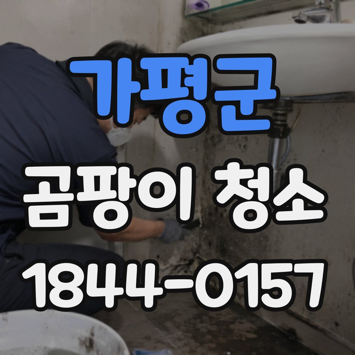 가평군 곰팡이 청소