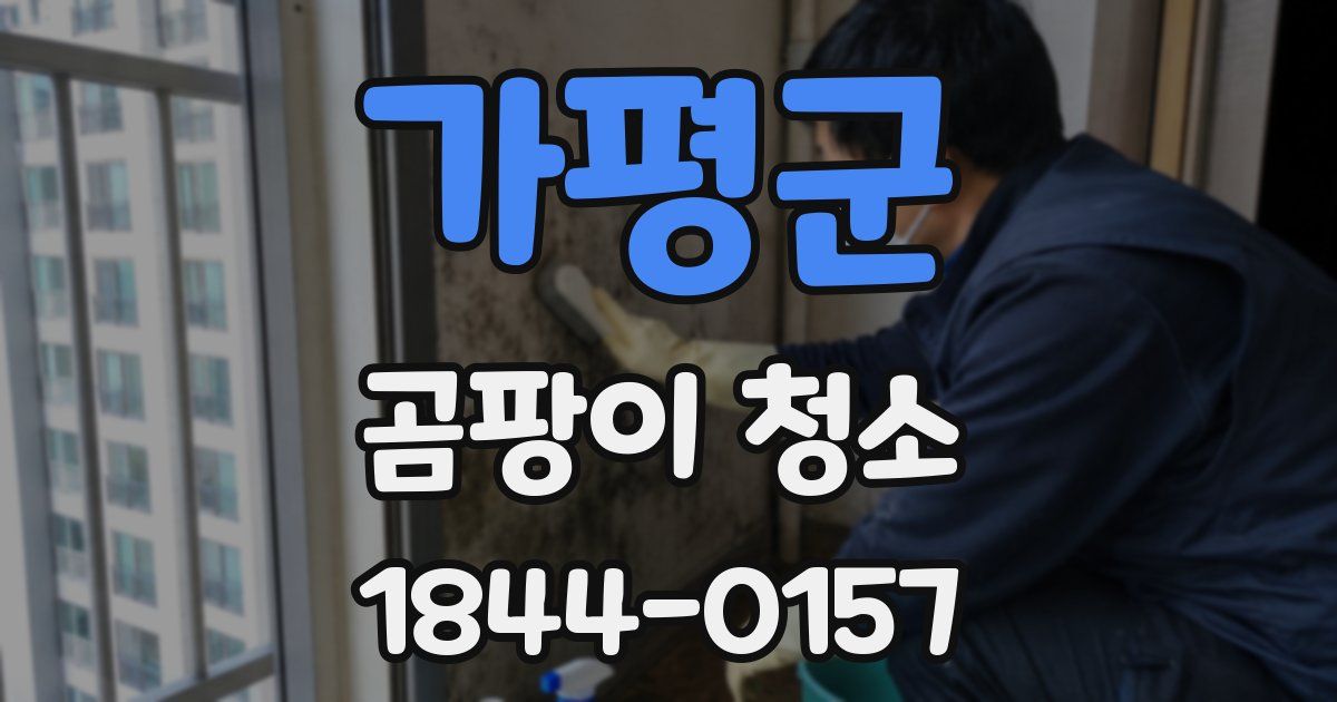 가평군 곰팡이 청소