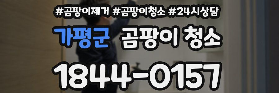 가평군 곰팡이 청소