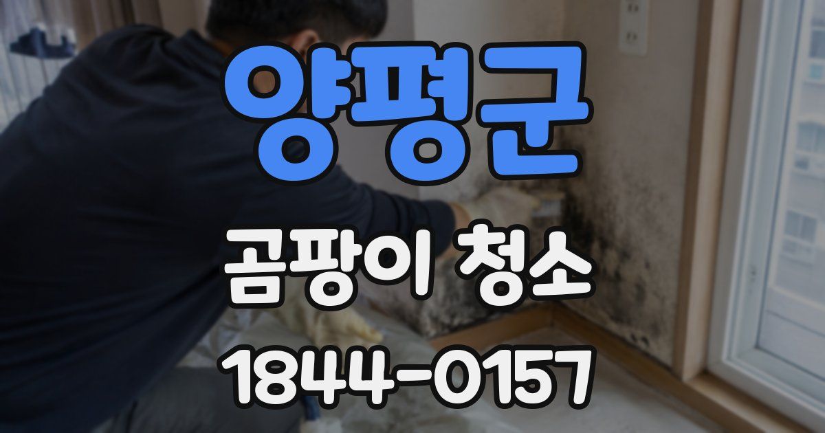 양평군 곰팡이 청소