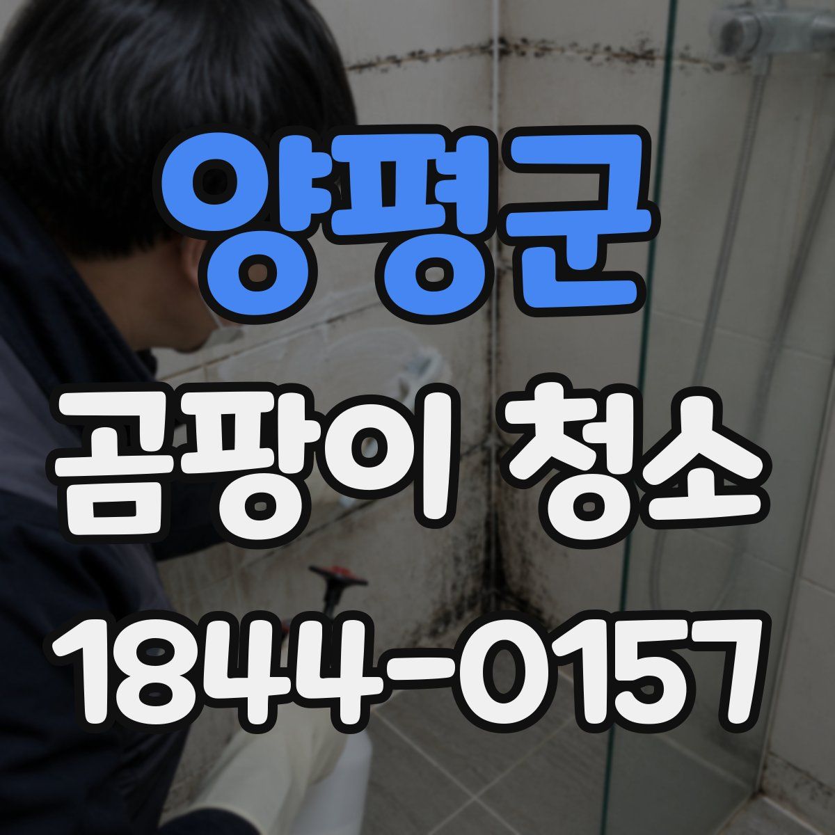 양평군 곰팡이 청소
