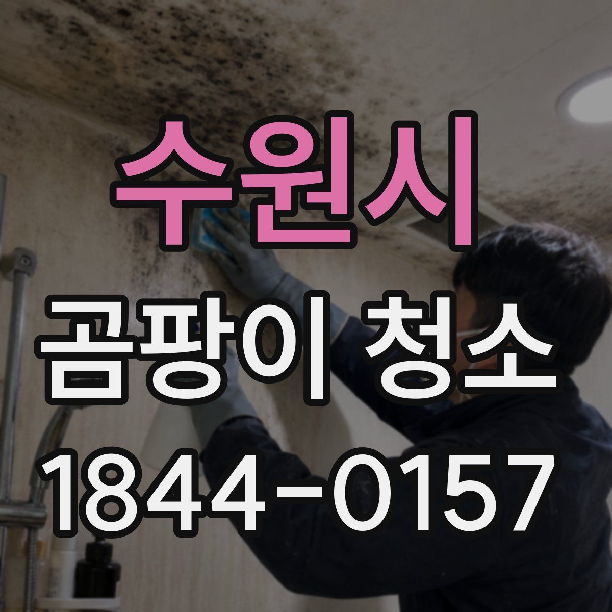 수원시 곰팡이 청소