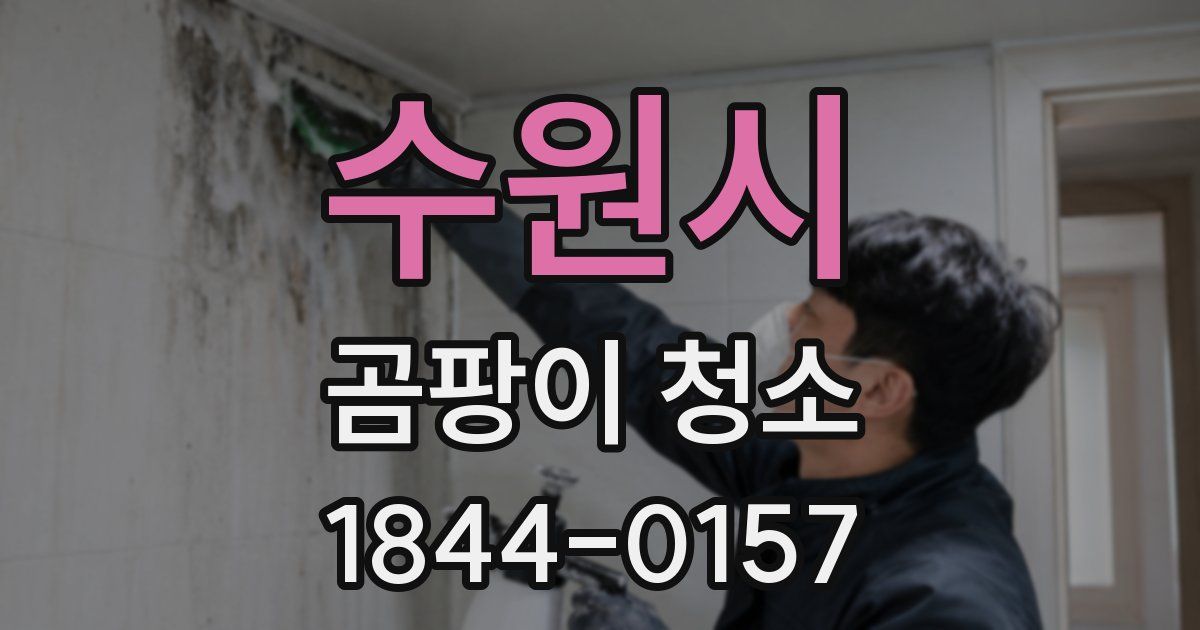 수원시 곰팡이 청소