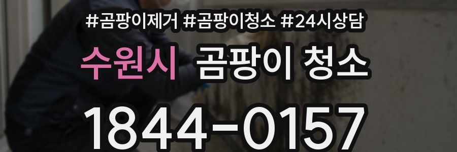 수원시 곰팡이 청소